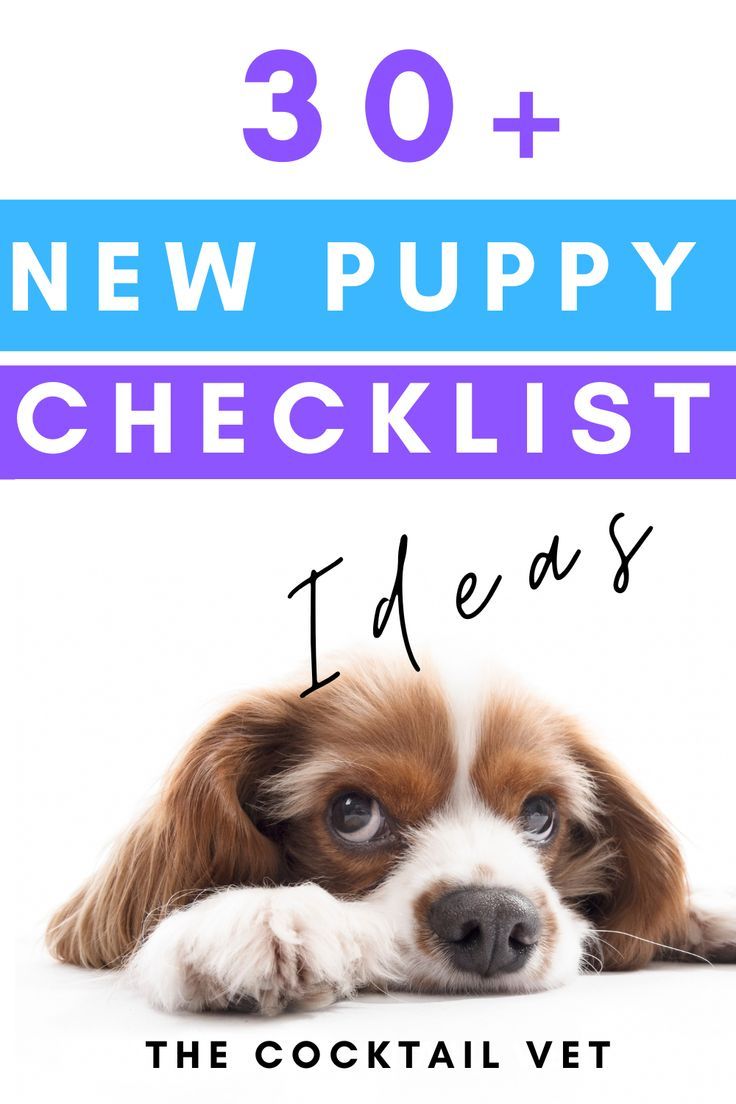 a puppy laying down with the words, new puppy checklist i'd use