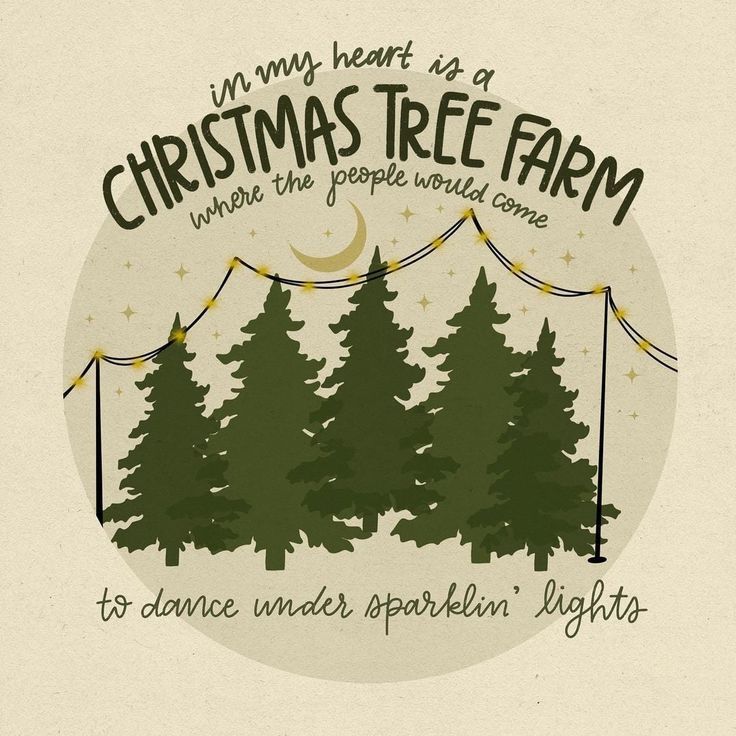 a christmas tree farm poster with trees and lights