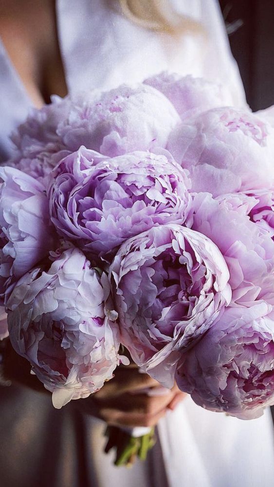 a bride holding a bouquet of purple peonies