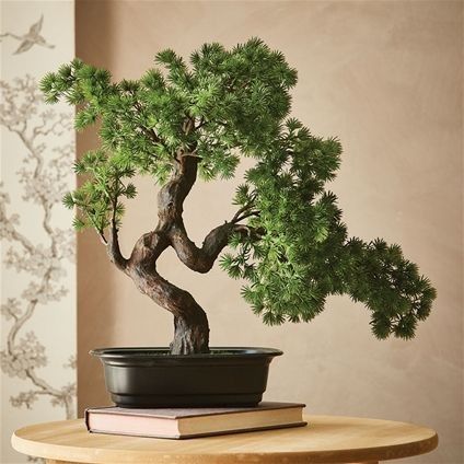 a bonsai tree sitting on top of a wooden table