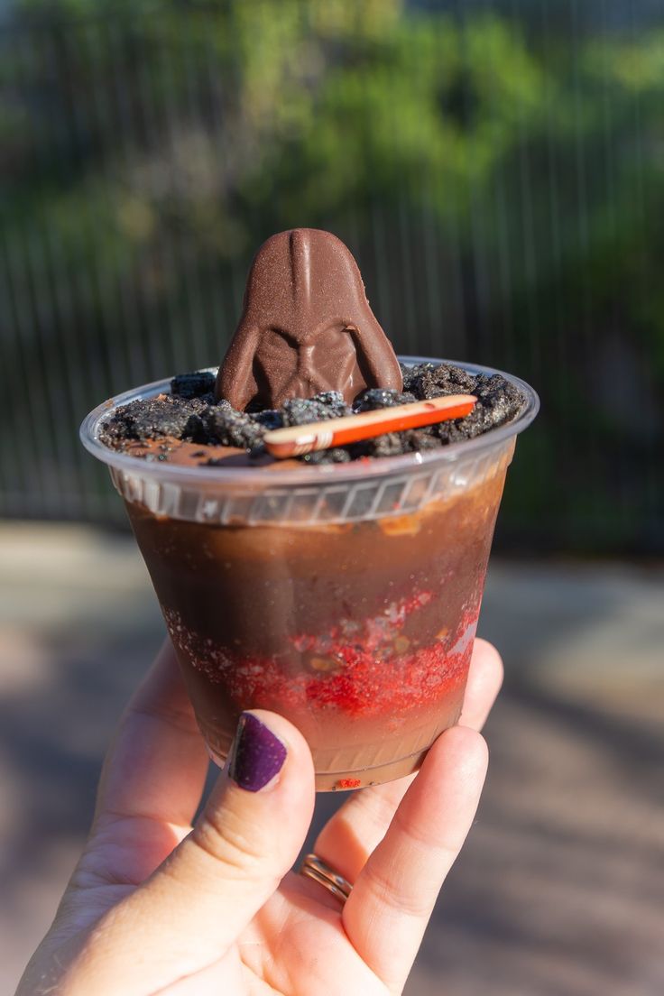 a person holding up a chocolate dessert in front of a fenced area with trees