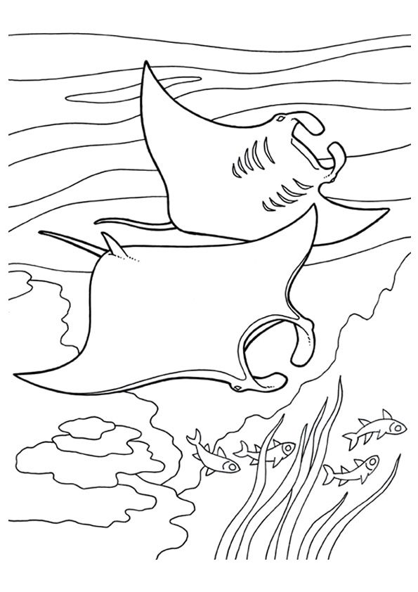 a coloring page with an image of a fish swimming in the ocean