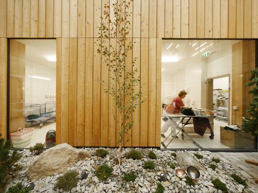 a woman sitting at a table in front of a wooden wall with plants growing out of it