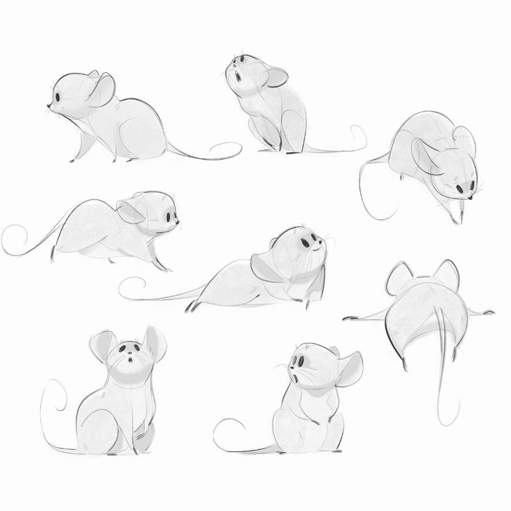 the various stages of how to draw a mouse