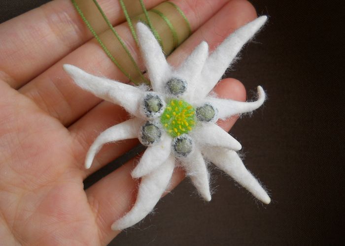 a hand holding a small white flower with green center in it's palm area