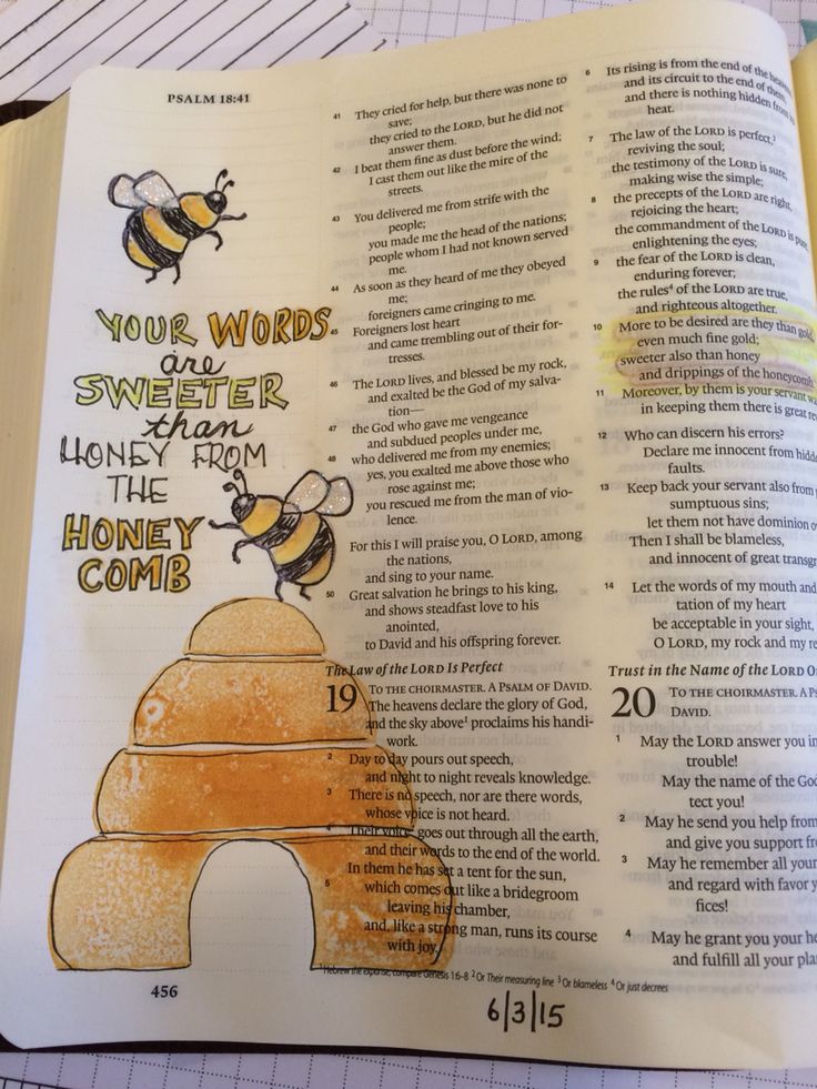 an open bible with bees on it and the words your words sweeter than honey combs