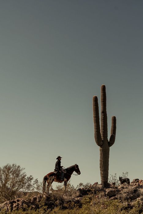 a man riding on the back of a horse next to a cactus