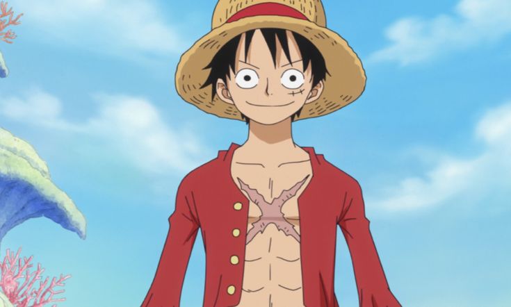 One Piece Anime Manga, Straw Hat Crew, True Or False, Rock Lee, February 15, One Piece Luffy, Kakashi Hatake, Itachi Uchiha, Manga Characters