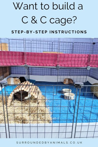 some animals are laying in their cages with the words, want to build a c & c cage? step - by - step instructions