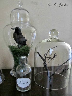 two glass vases with plants in them sitting on a table next to each other