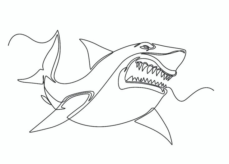 a drawing of a shark with its mouth open