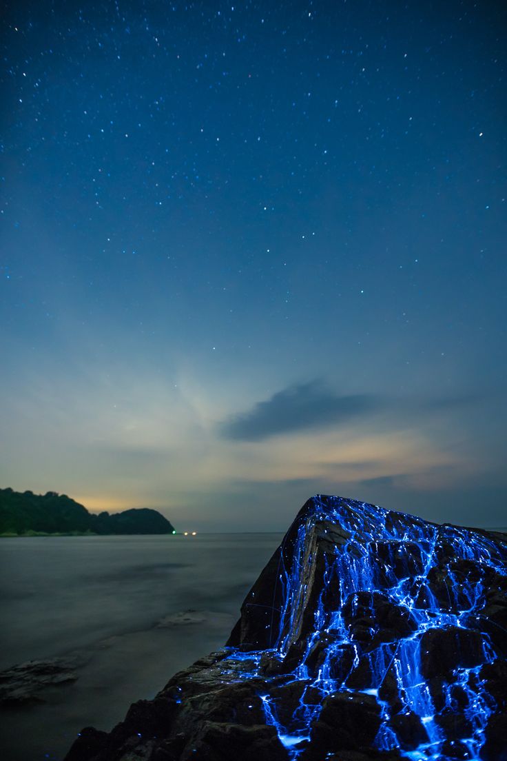 the night sky is lit up with blue lights and stars above water, as seen from a rocky outcropping