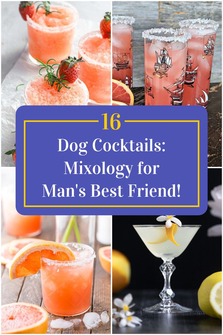 Collage of 4 dog cocktails. Dog Themed Drinks Puppy Party, Dog Party Drink Ideas, Dog Theme Party Drinks, Dog Theme Cocktail, Dog Drink Recipes, Dog Margarita Recipe, Dog Themed Alcoholic Drinks, Dog Inspired Cocktails, Vet Med Themed Drinks