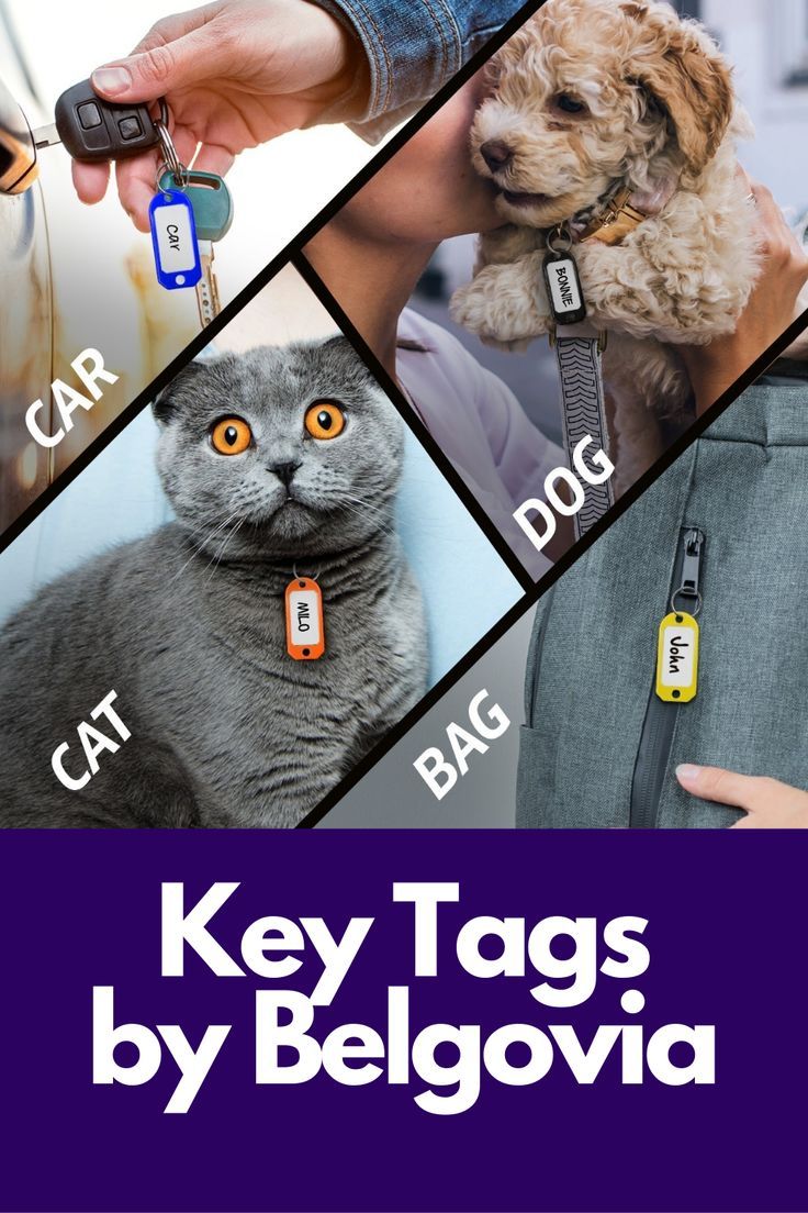 #keychains #keyrings  #keytagswithlabels #plastic #office  #stationary #officeproducts #amazon #amazon.co.uk #belgovia #unitedkingdom Diy Luggage Tags Easy, Key Fob Diy, Diy Luggage Tags, Key Holder Ideas, Key Ring Ideas, Key Chains Diy, Custom Key Chains, Cute Key Chains, Key Diy