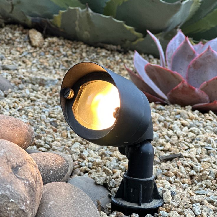 a black light is sitting on the ground next to some rocks and succulents