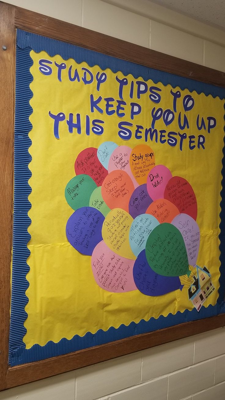 a bulletin board with writing on it that says, study tips to keep you up this semester