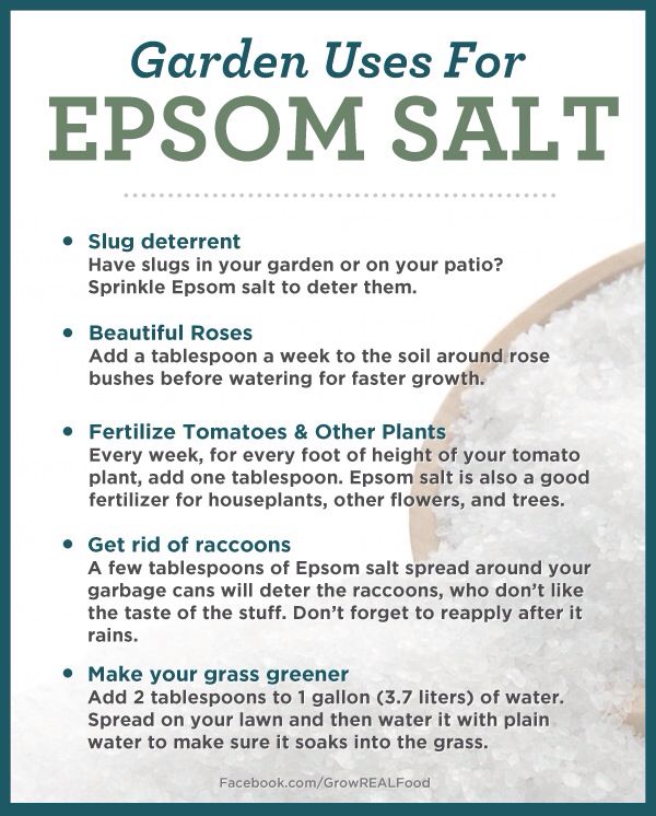 a recipe for epsom salt is shown in this poster, which shows how to use it