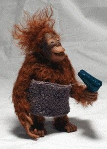 an orangutan holding a blue object in its right hand and wearing a sweater