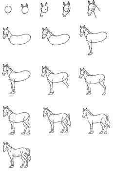 the horse is drawn in several different ways