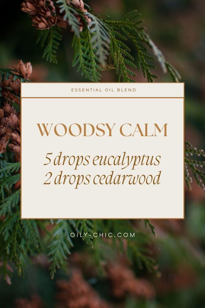 Cedarwood Essential Oil Blends, Incense Ideas, Essential Oil Blends For Diffuser, Oil Blends For Diffuser, Fall Essential Oils, Eo Blends, Essential Oil Combinations, Fragrance Blends, Essential Oil Diffuser Blends Recipes