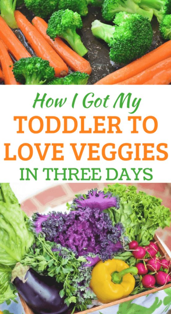 the cover of how i got my toddler to love veggies in three days