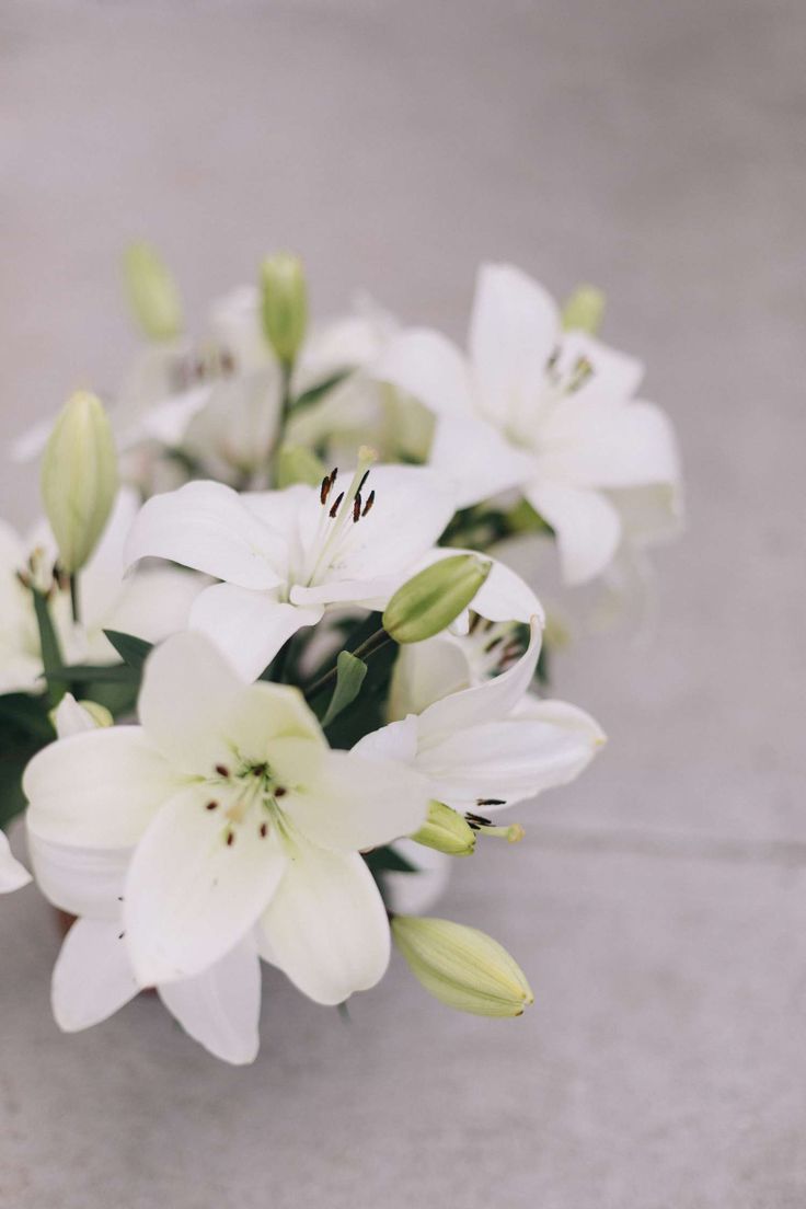 white lilies are arranged in a vase on the cement floor with greenery around them