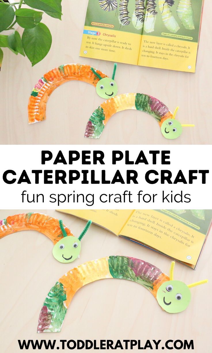 paper plate caterpillar craft for kids to make