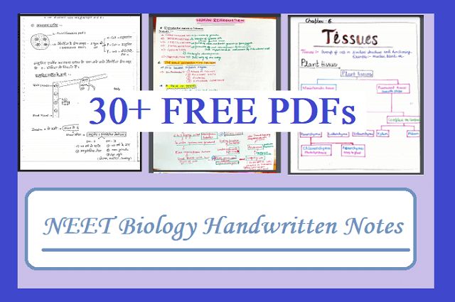 three different types of paper with the text 30 + free pps