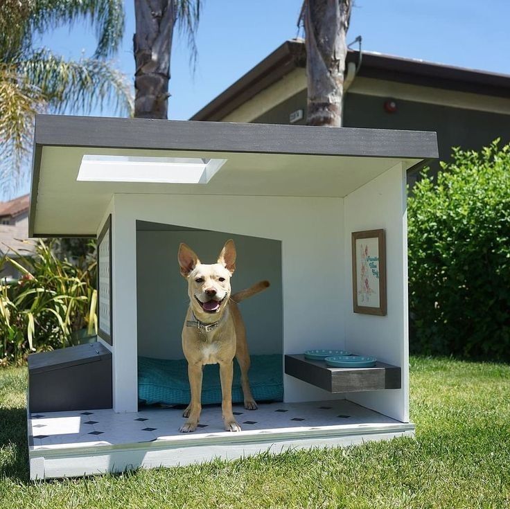 a dog is standing in the inside of a house that has been built into the grass