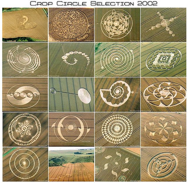 an image of crop circle selection 2009