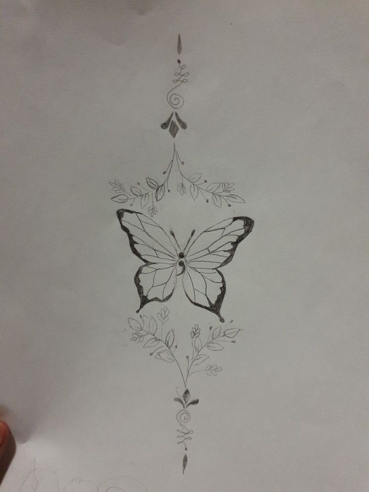 a drawing of a butterfly with vines and leaves on it's back side is shown