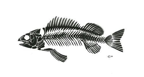 a black and white drawing of a fish with stripes on it's body,