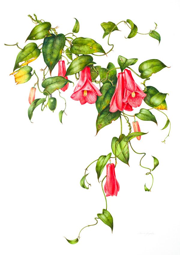 a painting of red flowers and green leaves