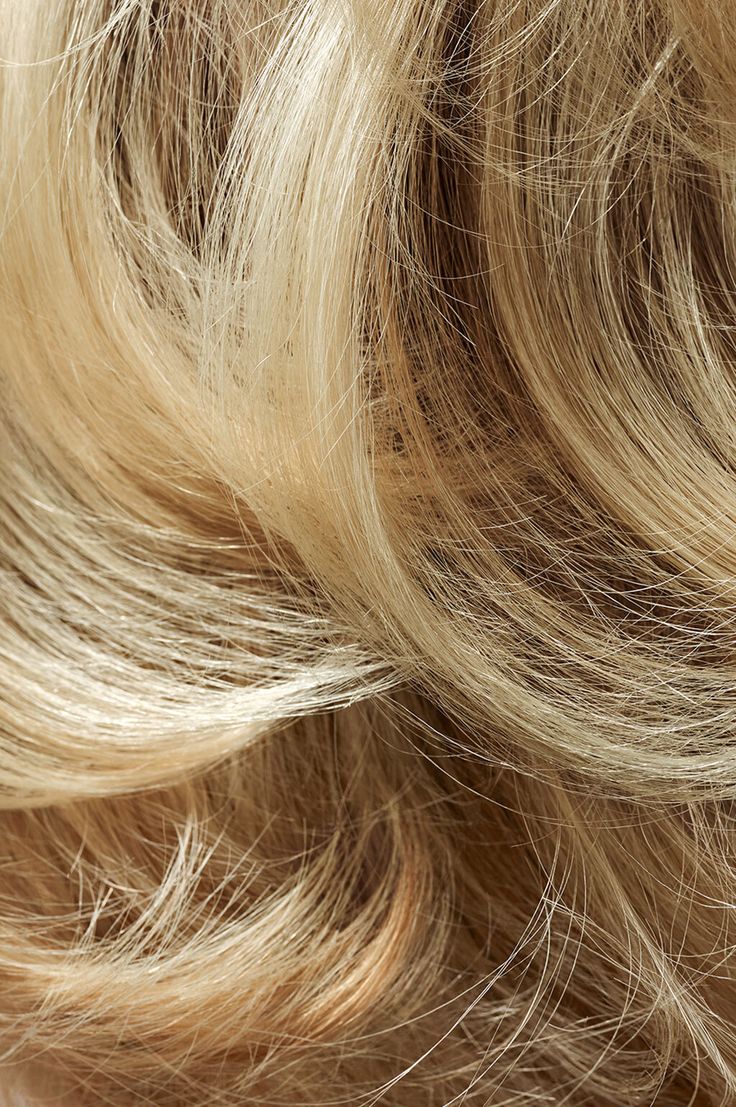 closeup of blonde hair on white background