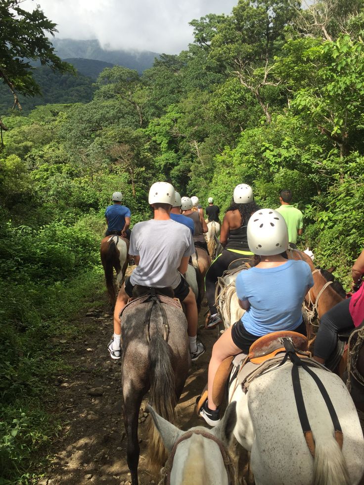 several people riding horses on a trail in the woods