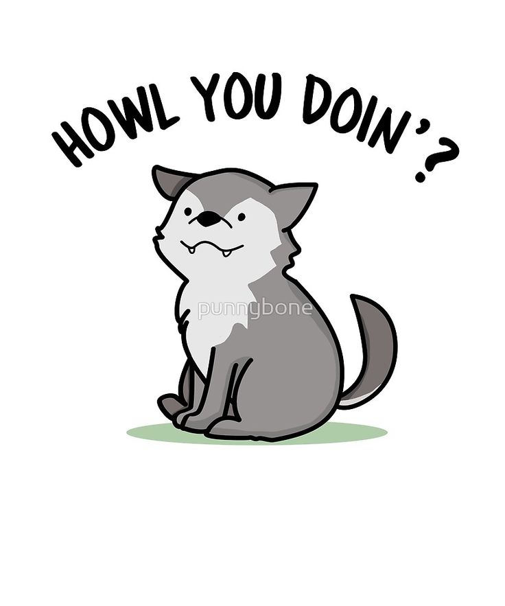 a cat that is sitting down with the words how do you doin? on it