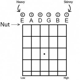 an electric guitar frets diagram with the words nut, e g and d on it