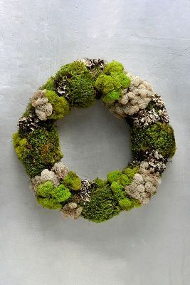 a moss covered wreath hanging on the wall