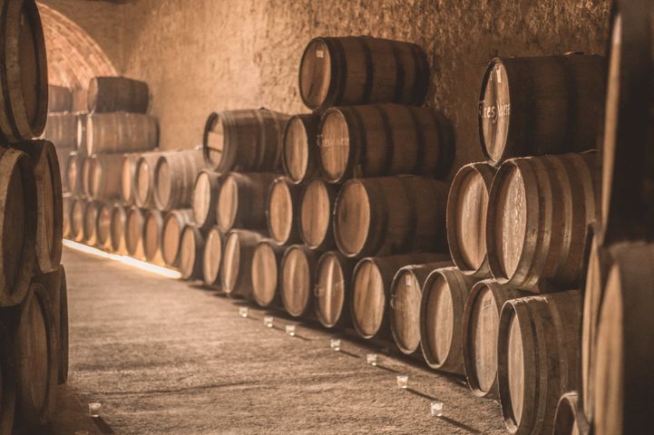 several rows of wine barrels lined up in a cellar