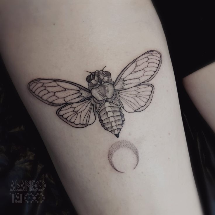 a black and white photo of a bee tattoo on the right thigh with a half moon behind it