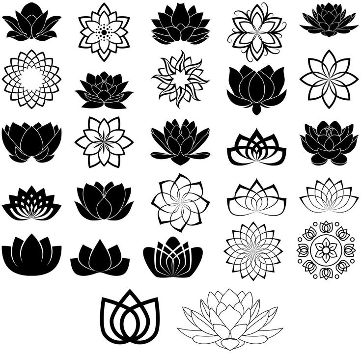 black and white lotus flower silhouettes