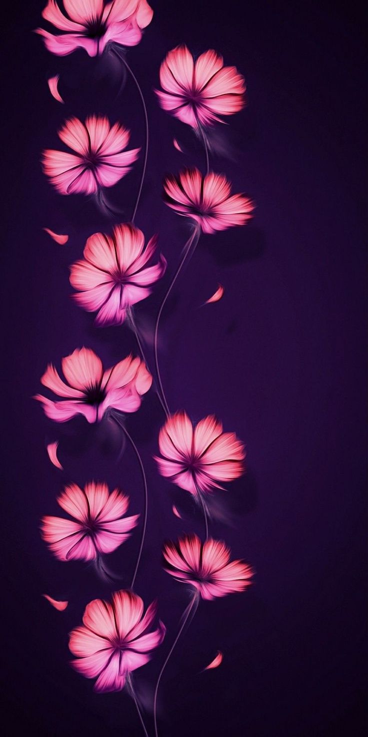 pink flowers with long stems on a dark background