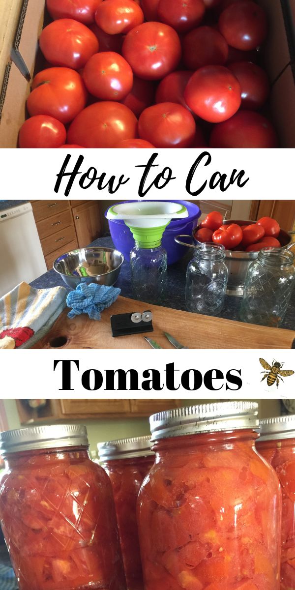 tomatoes in jars with text overlay how to car tomatoes and what to use them