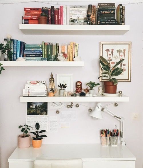 two shelves with books, plants and pictures on them