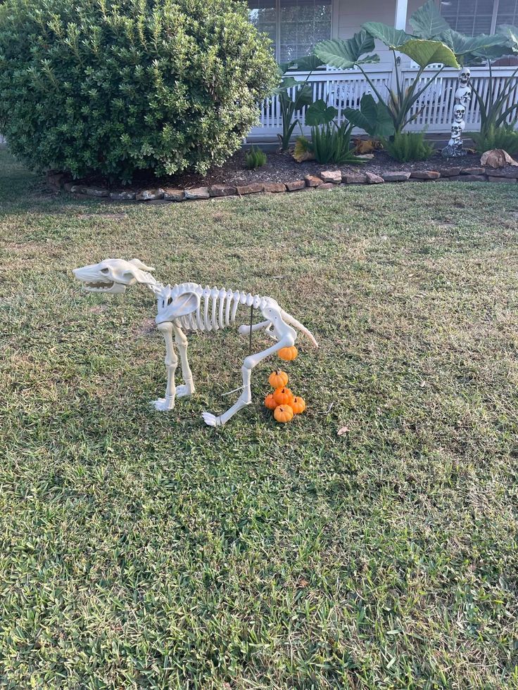 a dog skeleton sitting in the grass with an orange flower on it's side