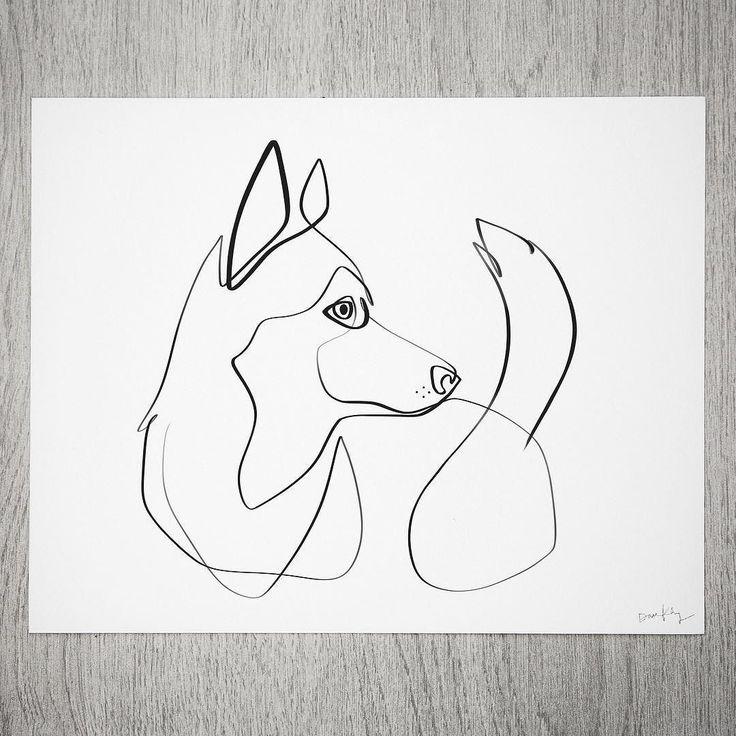 a black and white drawing of a dog's face on a piece of paper