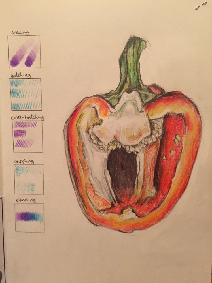 a drawing of a red bell pepper on a piece of paper with colored pencils