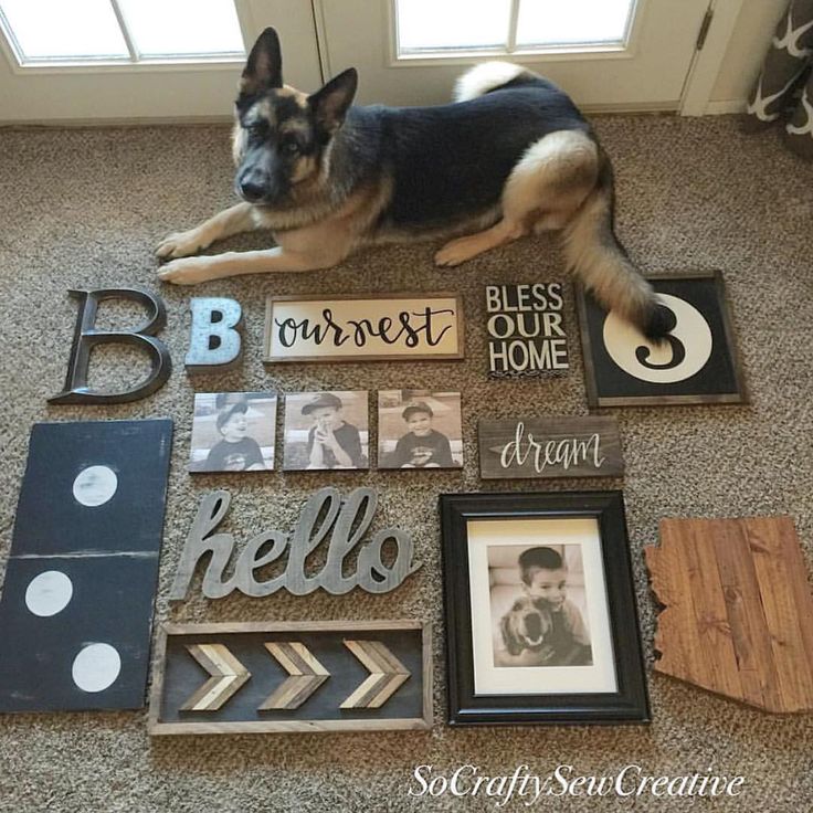 a dog laying on the floor next to some pictures and letters that spell out his name