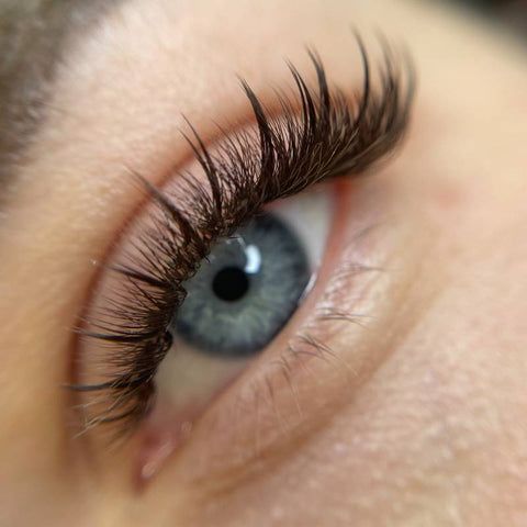 Eyelashes Styles Extensions, Whispy Lashes Eyelashes, Wispy Lashes Extensions, Wispy Volume Lash Extensions, Eyelash Growth Cycle, Lashes Tips, Wispy Lash Extensions, Anime Lashes, Chocolate Collection