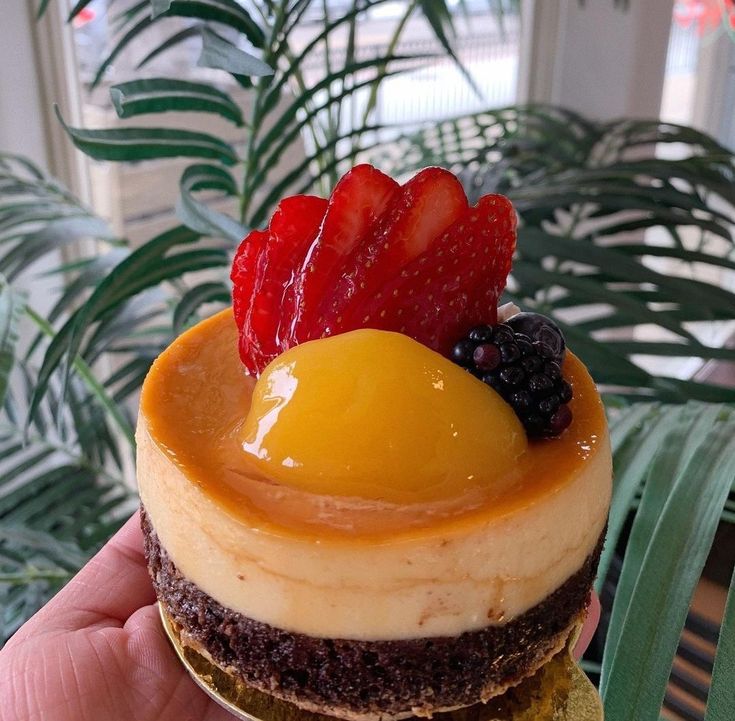 a hand holding a pastry with fruit on top and chocolate cake in the middle, surrounded by greenery